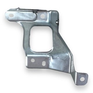 Original Leaf Plate Support Plate Iron L/R