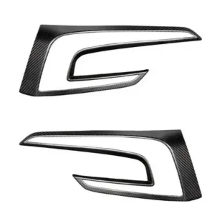 Rear Tailgate Trim Panel