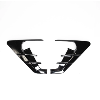 Mudguard Turn Signal L/R